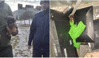 Pies wyrzucony do śmietnika! Szokujące odkrycie w pojemniku na elektroodpady w Bełchatowie [Foto]